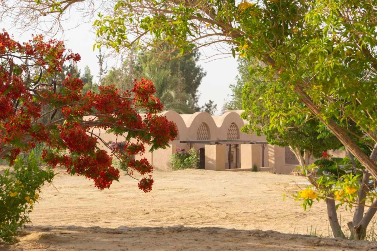 Tzila Bahariya Villa Bahariya Oasis Eksteriør billede