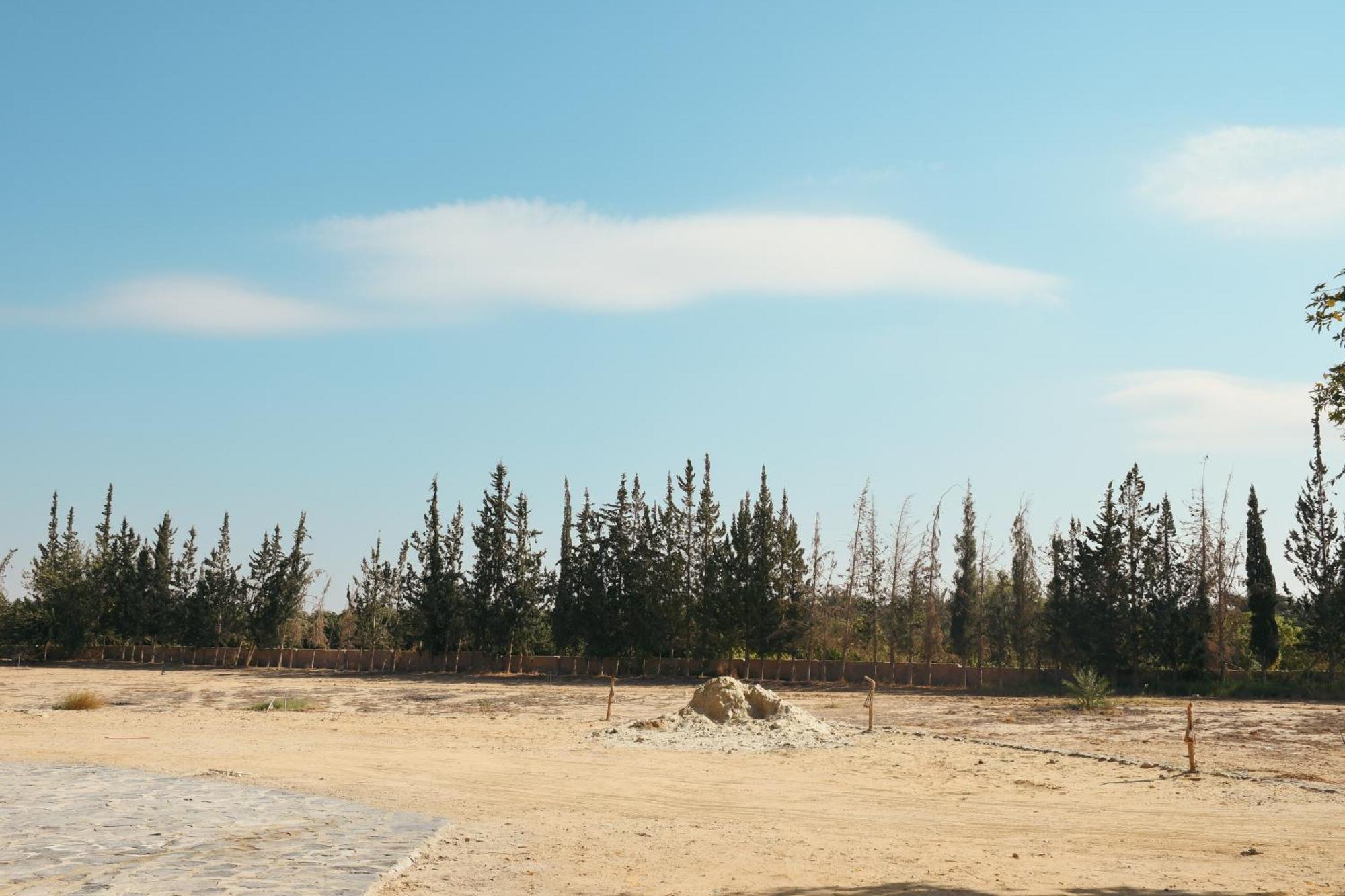 Tzila Bahariya Villa Bahariya Oasis Eksteriør billede