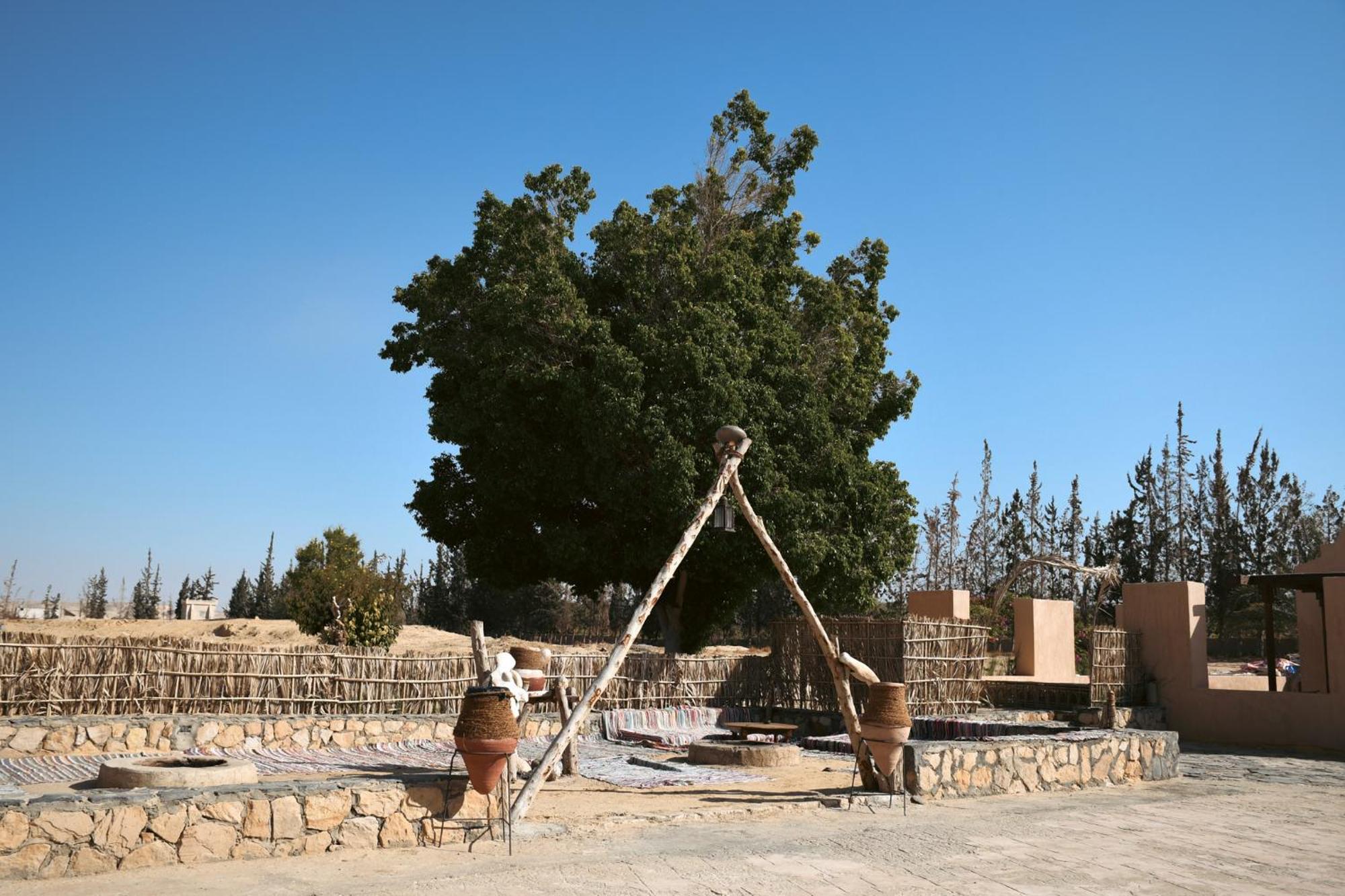 Tzila Bahariya Villa Bahariya Oasis Eksteriør billede